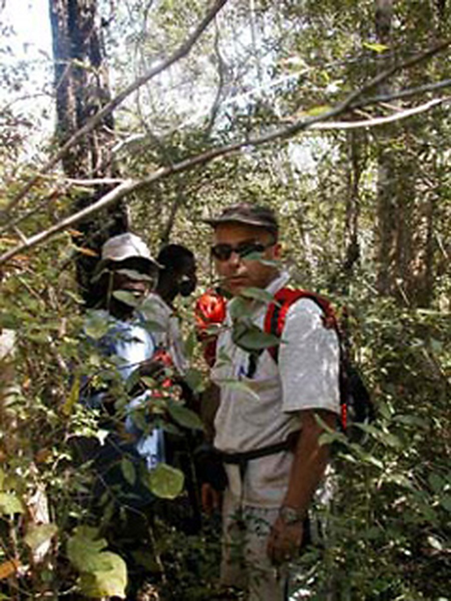 Danilo Barbero and colleagues during forest fieldwork