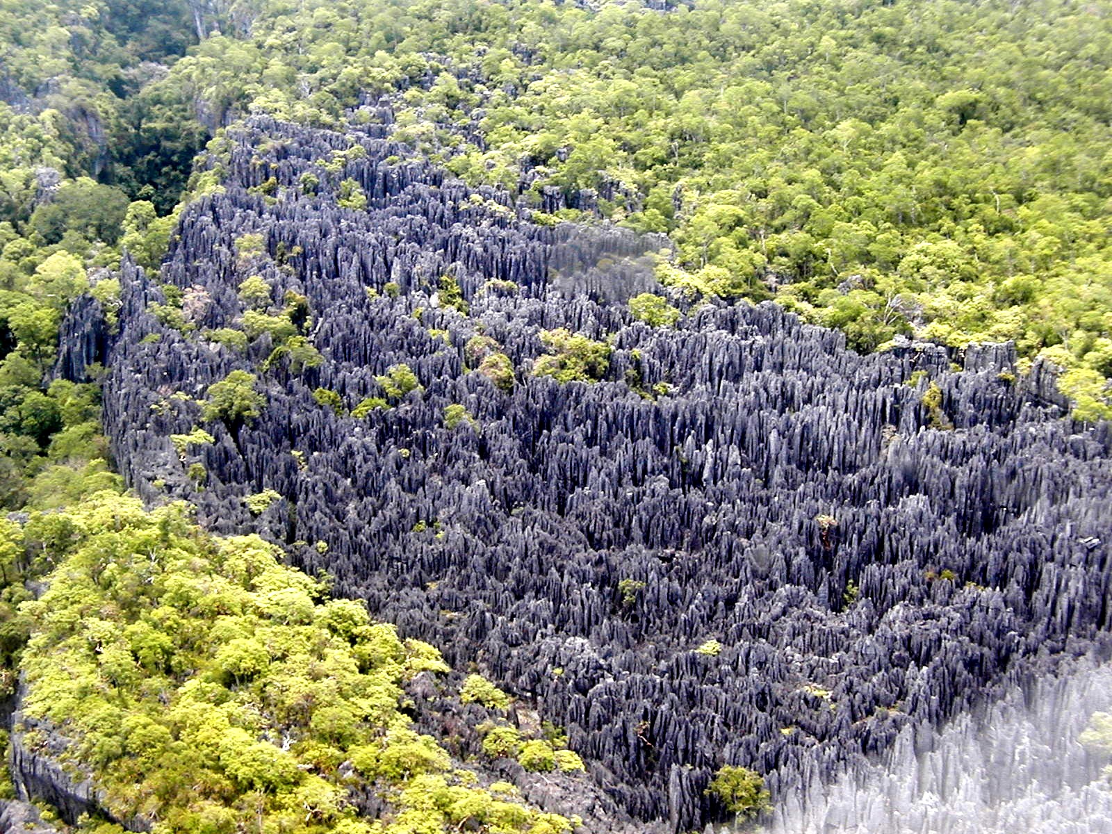 Pointed limestone formations surrounded by green vegetation