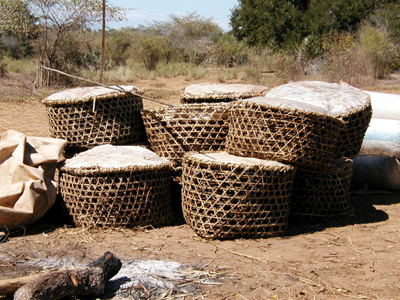 Woven cylindrical frames topped with stretched hide