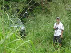 Danilo Barbero standing among tall green plants during a field visit